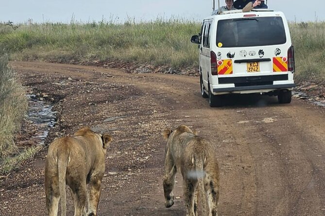 Full Day Tour in Amboseli National Park from Nairobi - Lunch At Oltukai Lodge