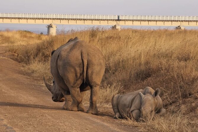 Full Day Tour in Amboseli National Park from Nairobi - The Afternoon Exit And Maasai Village Visit