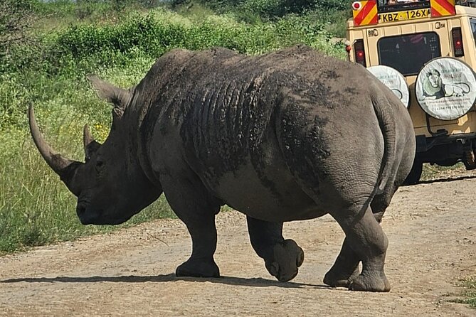Full Day Tour in Amboseli National Park from Nairobi - How The $140 Price Adds Up