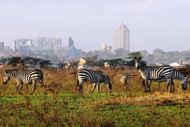 Full Day Tour Nairobi National Park, Giraffe Center ,Karen Blixen - Why this Nairobi day tour works well