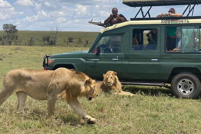 Full Day tour to Lake Nakuru National Park From Nairobi - Lunch at Lake Nakuru Lodge