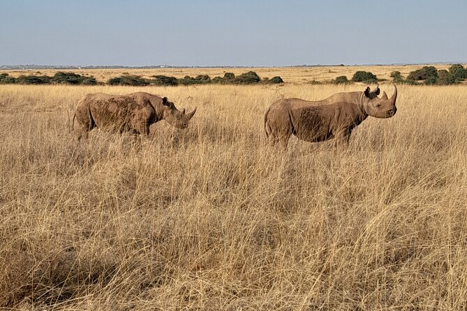 Full Day tour to Lake Nakuru National Park From Nairobi - The drive out and the route to Lake Naivasha