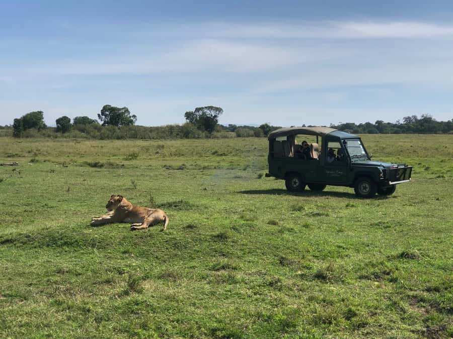 Game drive in Amboseli - What the guide adds to the day