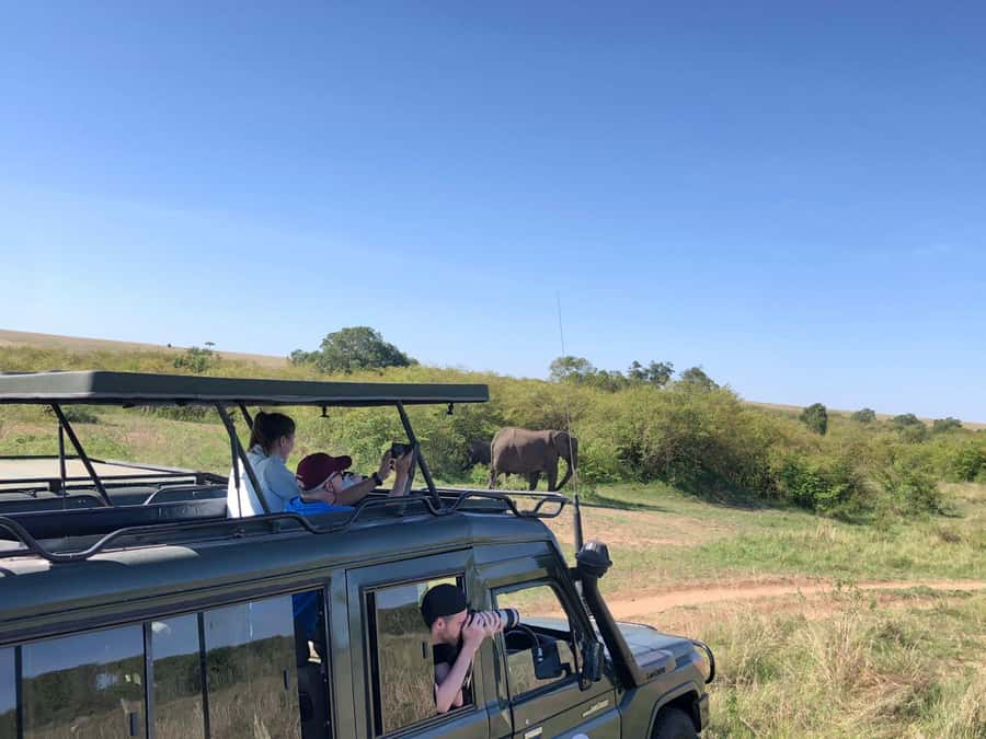 Game drive in Amboseli - Pickup from four Amboseli locations