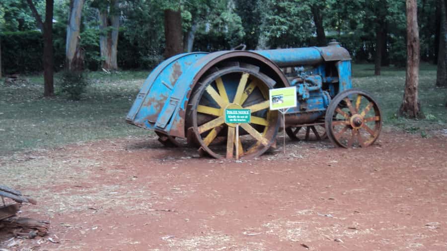 Giraffe Center and Karen Blixen Museum Tour from Nairobi - Why this half-day pairing works