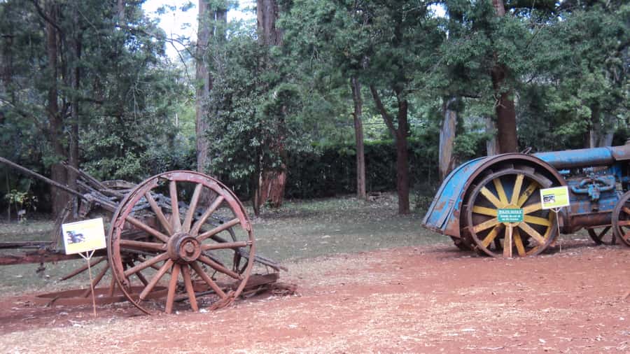 Giraffe Center and Karen Blixen Museum Tour from Nairobi - The Gogo River trail and semi-wild setting