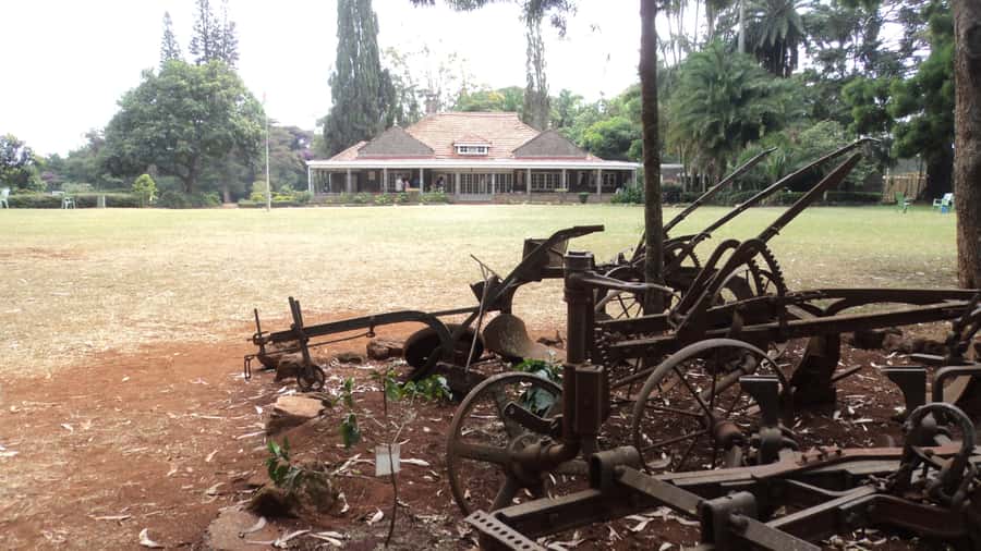 Giraffe Center and Karen Blixen Museum Tour from Nairobi - Timing, transport, and the $99 value