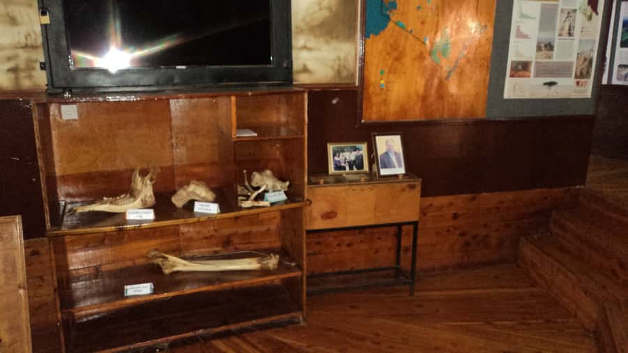 Giraffe Center and Karen Blixen Museum Tour from Nairobi - What to wear and what to carry