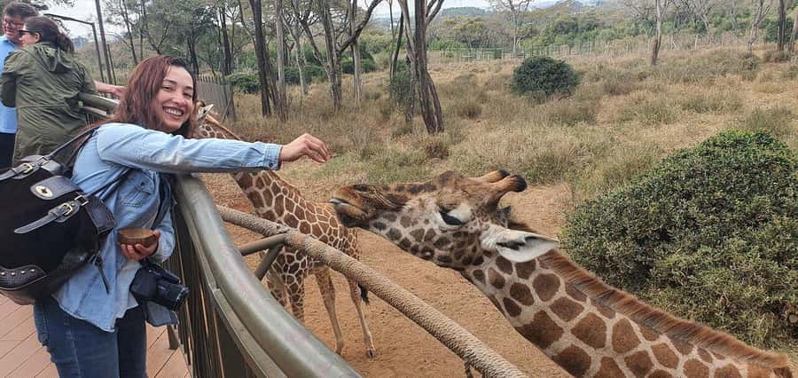 Giraffe Center City Day Tour - Key Points At A Glance