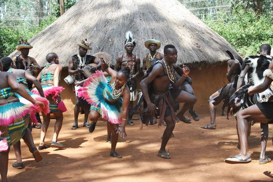 Giraffe Center, Elephant Orphanage and Bomas of Kenya Tour - Music, dance, and poetry at Bomas of Kenya