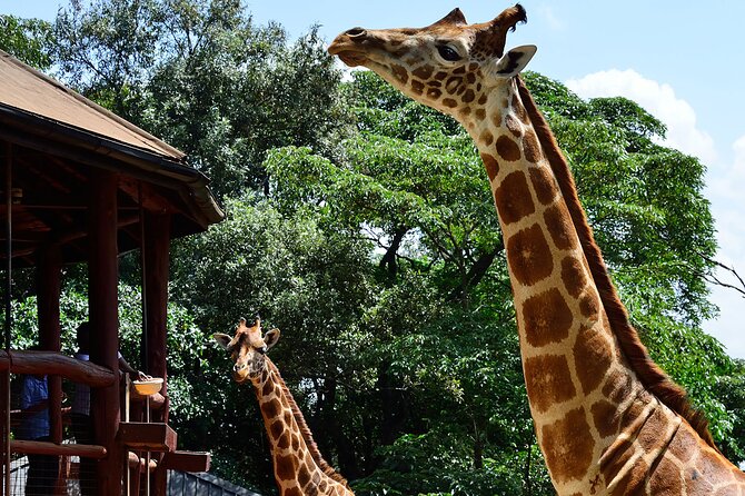 Giraffe Center, Elephant Orphanage and Nairobi National Park Day Tour Nairobi - From clay to finished jewelry at Kazuri Beads