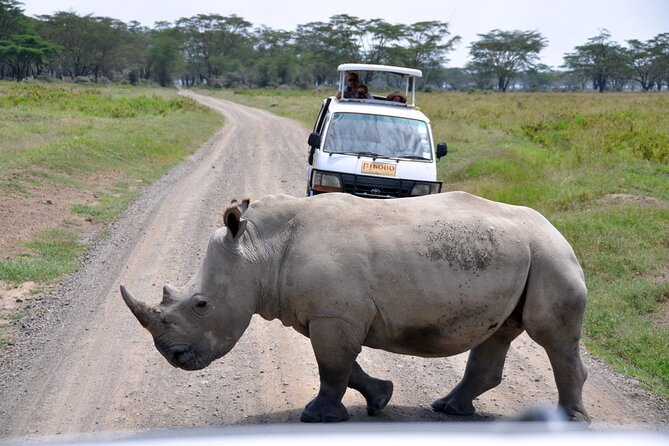Giraffe Center, Elephant Orphanage and Nairobi National Park Day Tour Nairobi - Is $245 a fair price?
