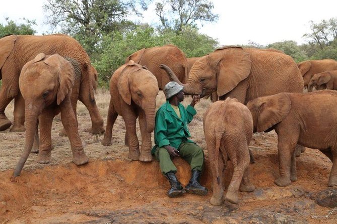 Giraffe Center, Elephant Orphanage, Beads Center & Bomas of Kenya Tour Nairobi - Bomas of Kenya: music, dance, and traditional homes