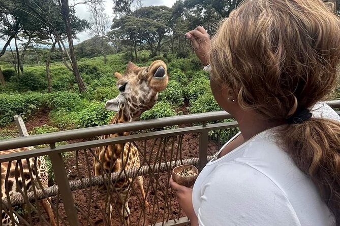 Giraffe Centre and Bomas of Kenya from Nairobi - Key points to know before booking