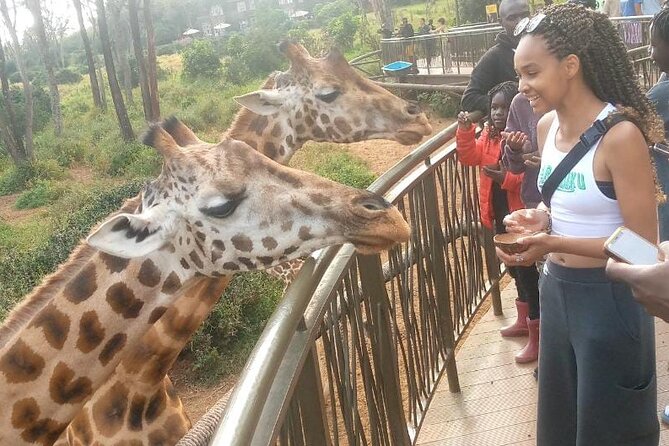 Giraffe Centre and Bomas of Kenya from Nairobi - What the $50 price really covers