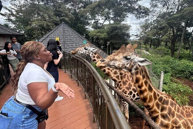 Giraffe Centre and Bomas of Kenya from Nairobi - Meeting endangered Rothschild giraffes
