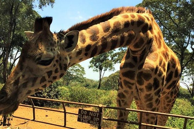 Giraffe Centre and Bomas of Kenya Full-Day Tour from Nairobi - Kazuri Beads and the human side of craft production