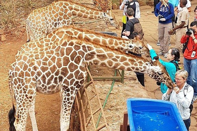 Giraffe Centre, Elephant Orphanage, National Museum & Beads Center - Reading Kenya’s past at the Nairobi National Museum