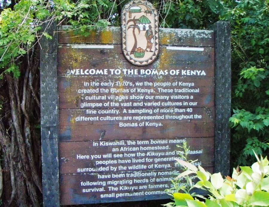Giraffe, Elephant Orphanage - Who will get the most from this experience