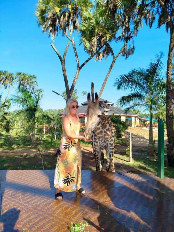giraffe feeding - From Diani Beach to a 31-acre sanctuary