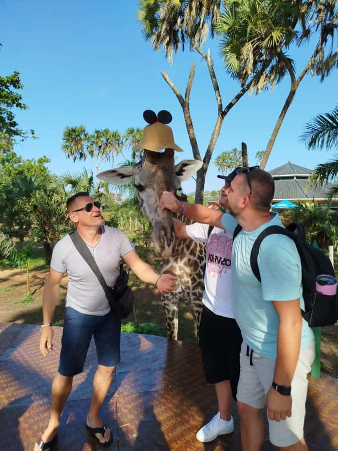 giraffe feeding - Walking among giraffes, zebras, and warthogs