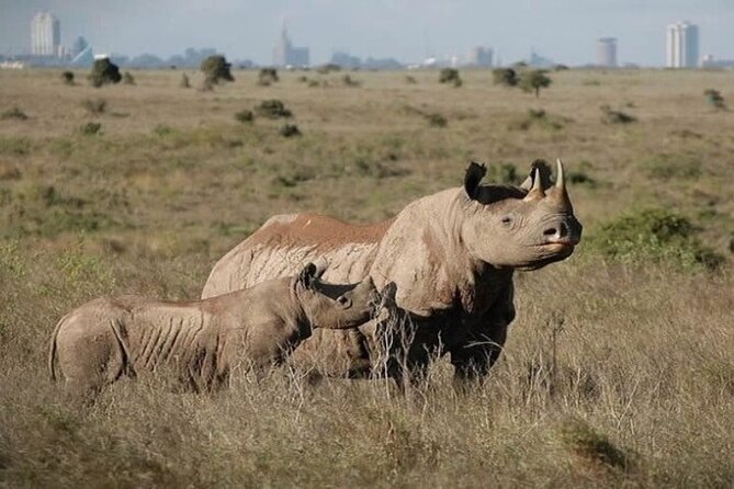 Group Joining Nairobi National Park and Giraffe Center - Is $120 per person a fair price?