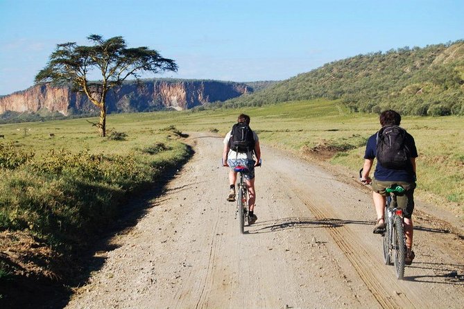 Guided Day Tour Safari of Parks Lake Naivasha and Hells Gate - Choosing between a safari vehicle and a bicycle