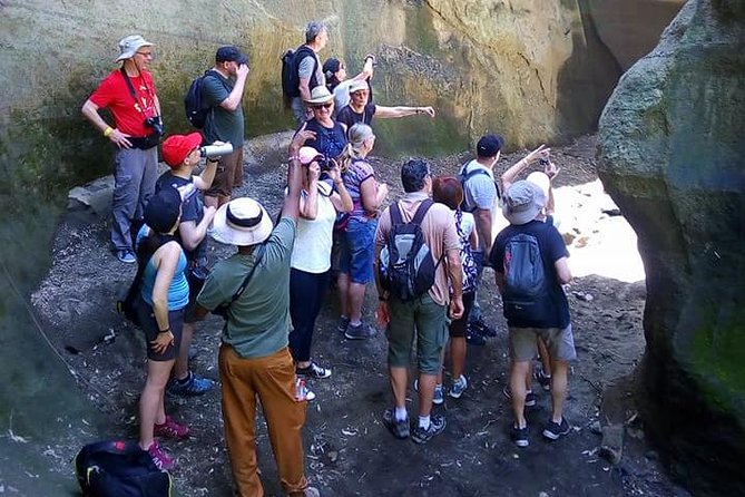 Guided Day Tour Safari of Parks Lake Naivasha and Hells Gate - Guides, group size, and the human side