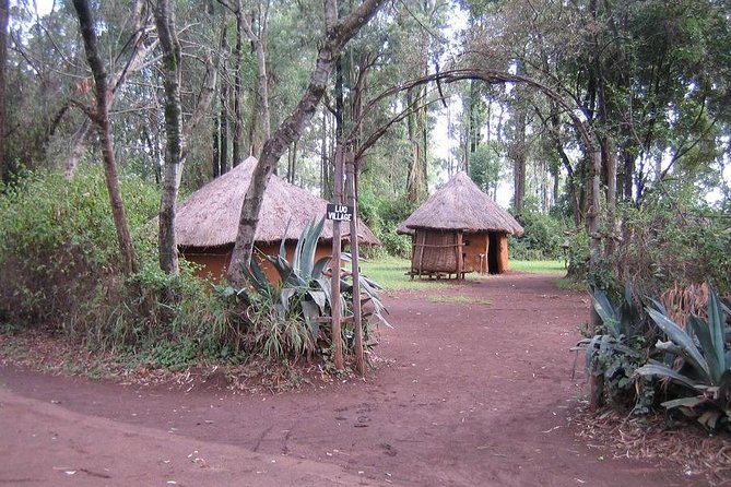 Half-Day Cultural Tour to Bomas of Kenya in Nairobi - The guide’s role in the experience