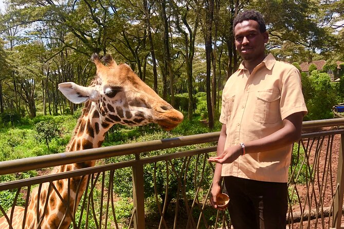Half Day Excursion Tour in Nairobi - Timing, transport, and the four-hour promise