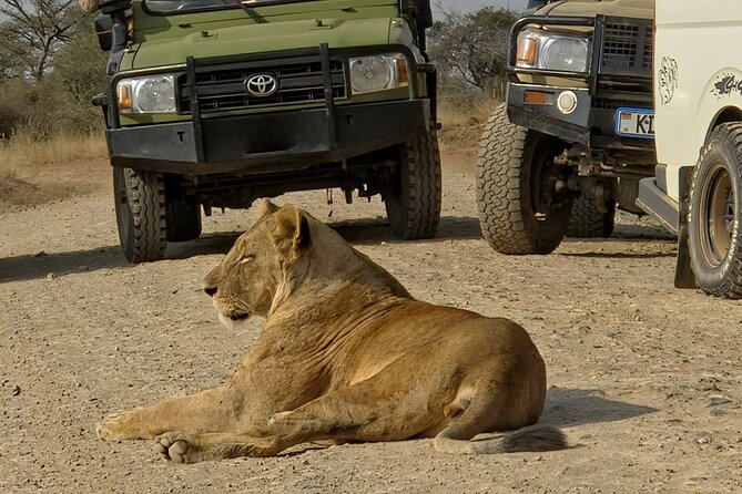 Half day guided tour in Nairobi National Park - What the $85 price really includes