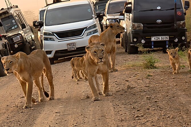 Half day guided tour in Nairobi National Park - Practical booking advice for a smooth morning