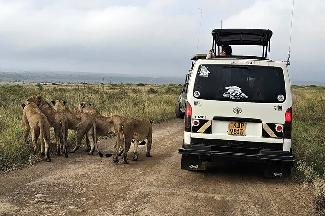 Half day guided tour in Nairobi National Park - The 6:00 am pickup and first hour