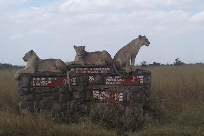 Half Day Nairobi National park - The 6:30 a.m. morning drive