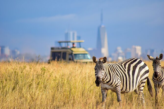 Half Day Nairobi National park - What the small group means for your safari