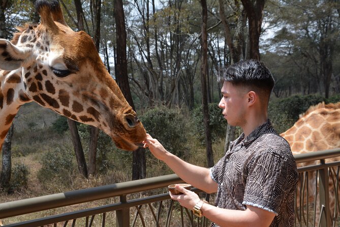 Half-Day Nairobi National Park and Maasai Market with Pick up - The three-hour game drive