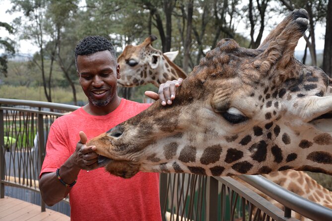 Half-Day Nairobi National Park and Maasai Market with Pick up - Pickup, timing, and the five-hour format