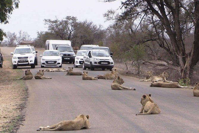 Half Day Nairobi National Park Guided Tour From Nairobi - Who will get the most from this outing