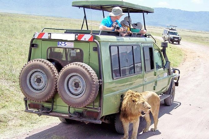 Half Day Nairobi National Park Guided Tour From Nairobi - Entering the park from Nairobi