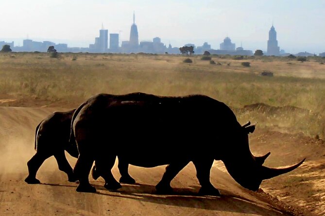 Half-Day Nairobi National Park Private Tour with admission - Why an early start makes sense