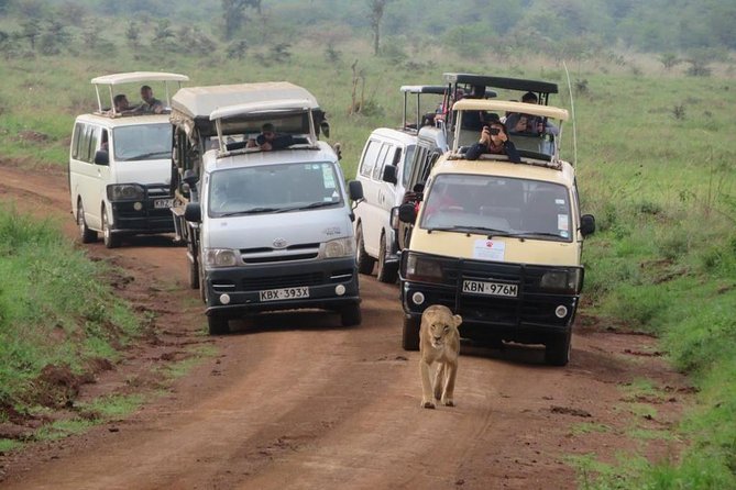 Half-Day Nairobi National Park Safari from Nairobi with Free Pickup - Guides who can make or break a short safari