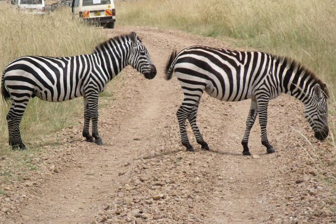 Half-Day Nairobi National Park Tour from Nairobi - Key points to know before booking