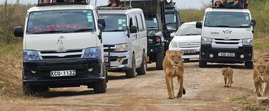 Half day Nairobi National Park with free pick up - Paying at the Nairobi National Park entrance