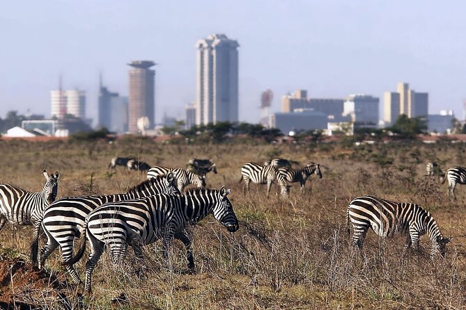 Half Day Nairobi National park - The 1:30 p.m. to 6 p.m. afternoon option