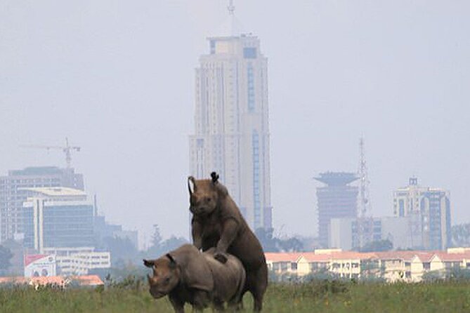 Half-Day National Wildlife Safari Private Tour in Nairobi - A wildlife list that goes beyond the Big Five