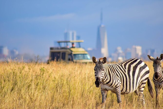 Half-Day National Wildlife Safari Private Tour in Nairobi - Timing the return to Nairobi