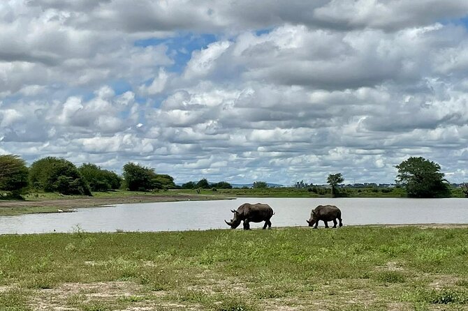Half Day Private Tour in Nairobi National Park with Admission - Who will get the most from this safari?