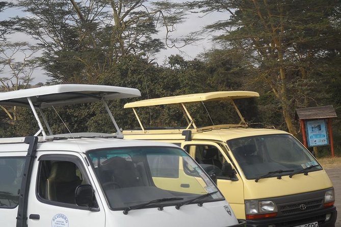 Half Day :safari Game Drive At Nairobi Park/elephant Sanctuary/giraffe Centre - The elephant orphanage visit and its extra charge