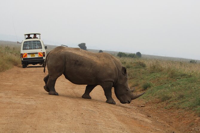 Half Day Tour To Nairobi National Park and Giraffe Center - What the $186 price includes