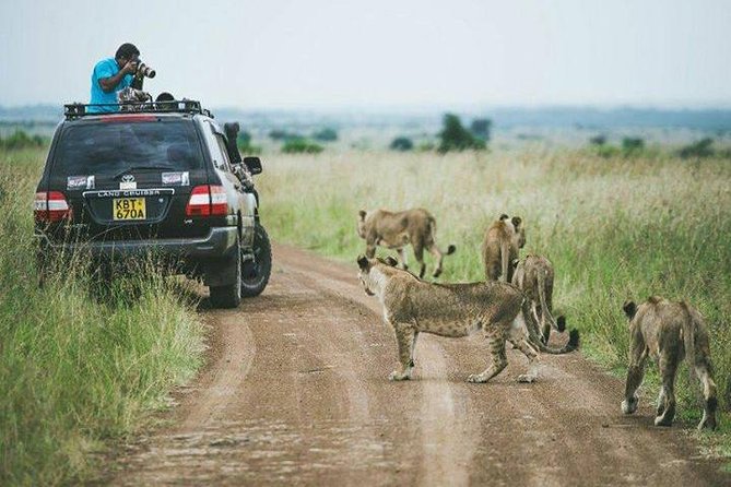 half Day TOURS/NAIROBI NATIONAL PARK/ELEPHANT & GIRAFFE CENTRE - Nairobi National Park from 6 a.m. to 10:15 a.m.